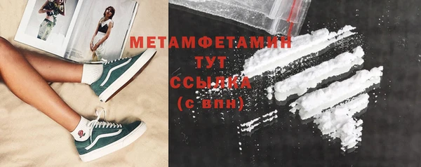 ПСИЛОЦИБИНОВЫЕ ГРИБЫ Вяземский