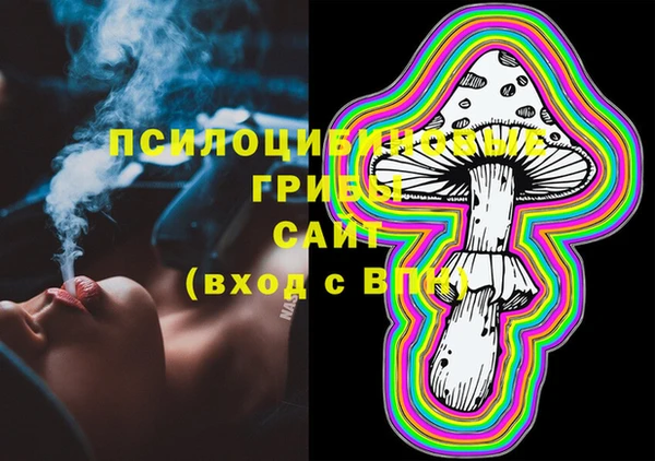 ПСИЛОЦИБИНОВЫЕ ГРИБЫ Вяземский