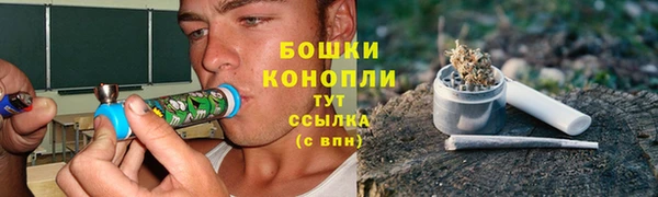 сатива Вязники