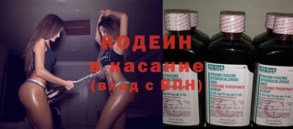 ПСИЛОЦИБИНОВЫЕ ГРИБЫ Вяземский