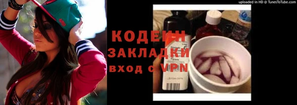ПСИЛОЦИБИНОВЫЕ ГРИБЫ Вяземский