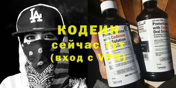 ПСИЛОЦИБИНОВЫЕ ГРИБЫ Вяземский