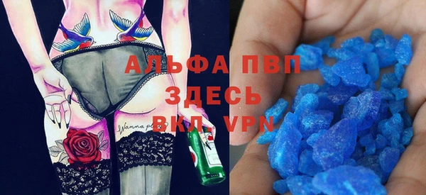 ПСИЛОЦИБИНОВЫЕ ГРИБЫ Вяземский