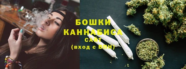 ПСИЛОЦИБИНОВЫЕ ГРИБЫ Вяземский