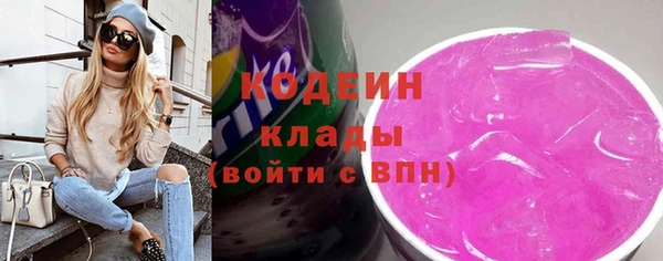ПСИЛОЦИБИНОВЫЕ ГРИБЫ Вяземский